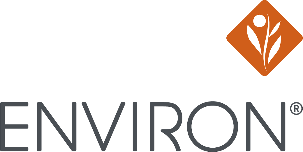 Environ Facial